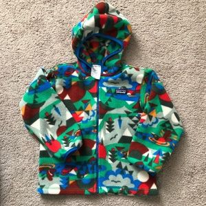 Patagonia Synchilla Cardigan